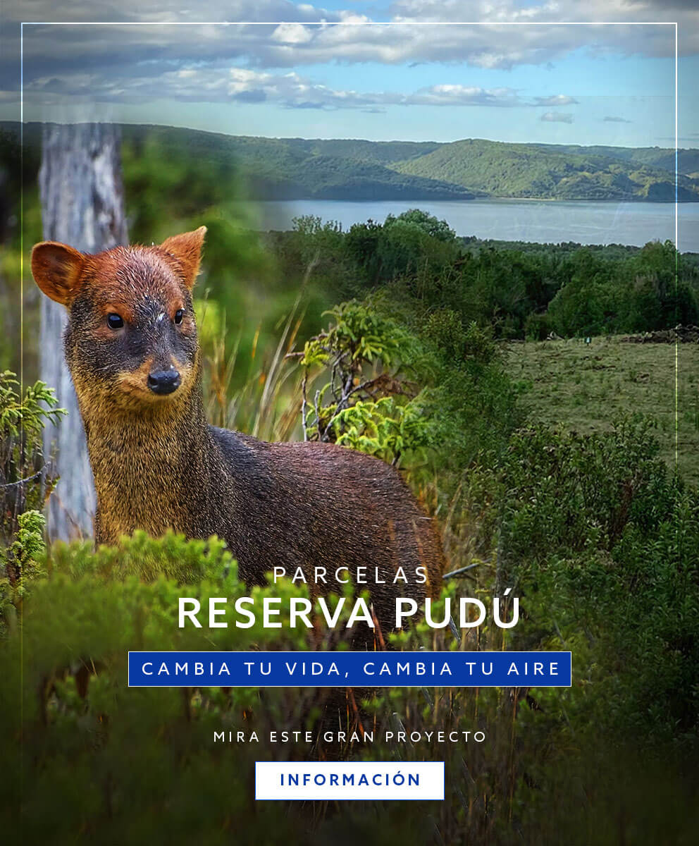 Reserva Pudú