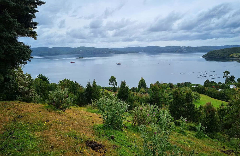 Predio Chiloé