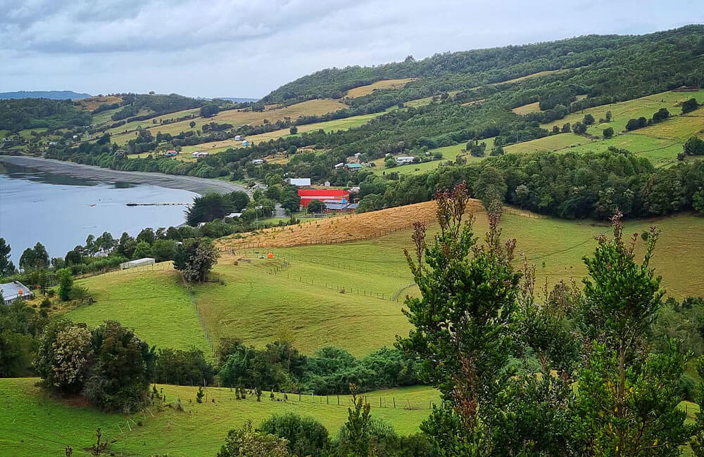 Predio Chiloé