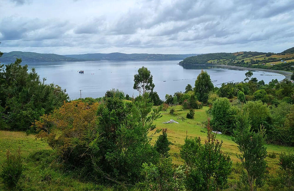 Predio Chiloé